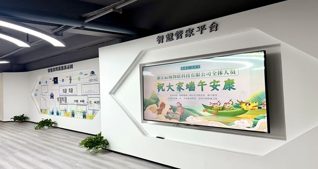 端午活动，端午安康，万事皆甜